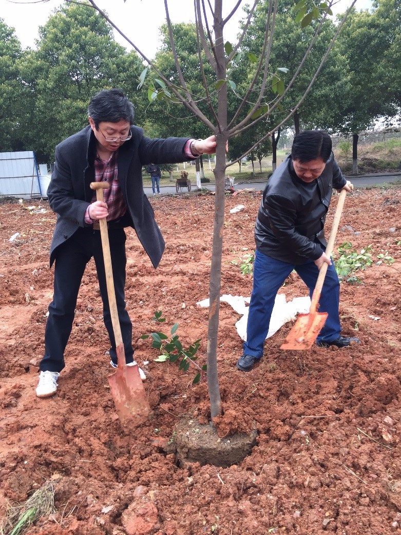 1490320319414697.jpg 1490320319414697.jpg