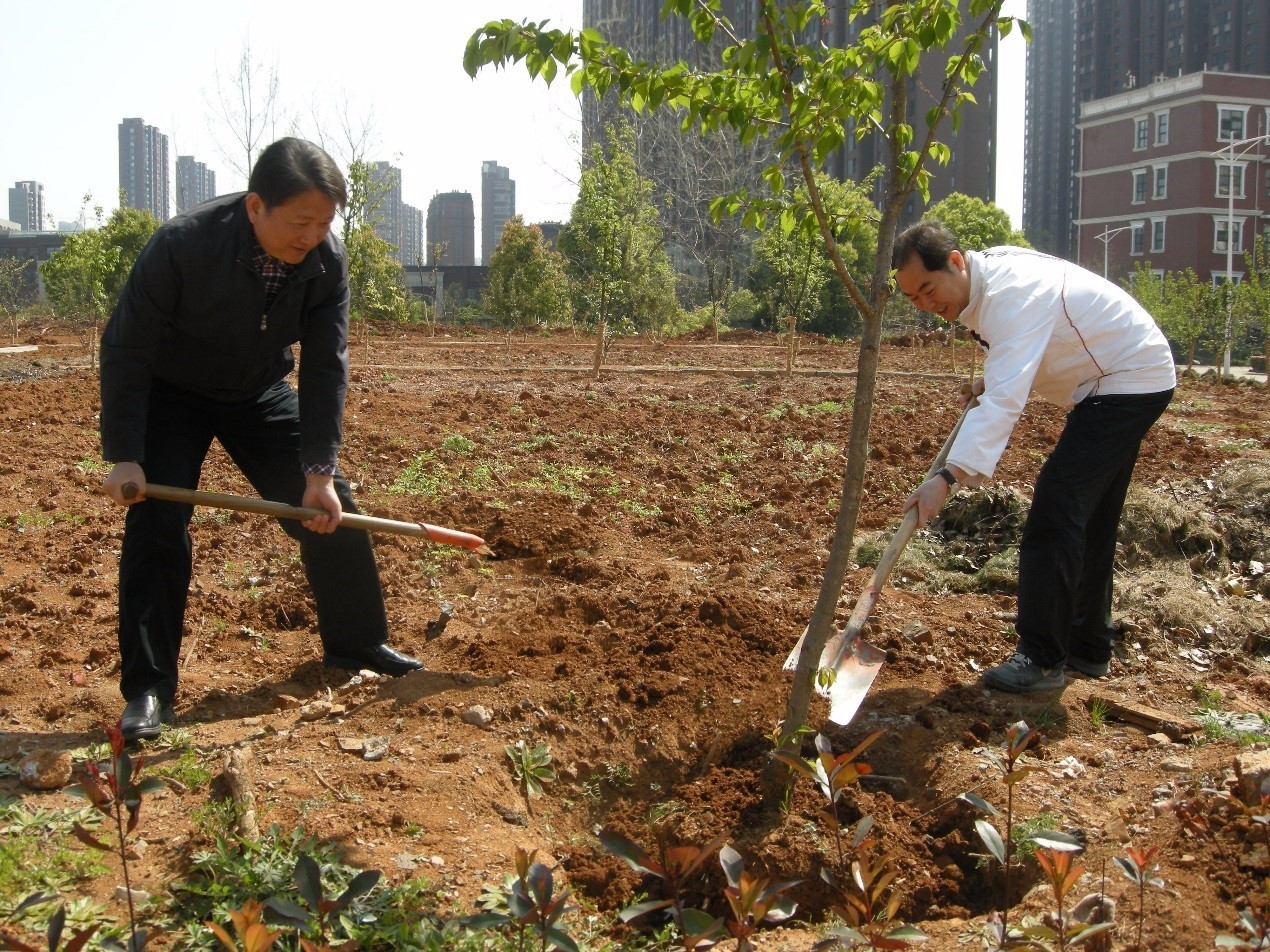 1490320317245582.jpg 1490320317245582.jpg