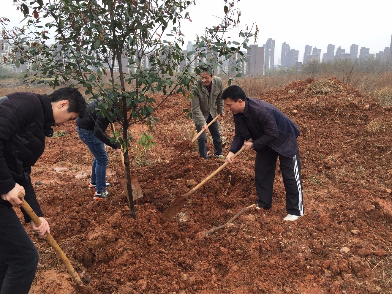 1490320318672328.jpg 1490320318672328.jpg