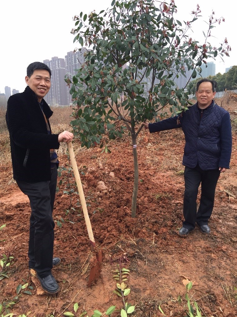 1490320319930347.jpg 1490320319930347.jpg