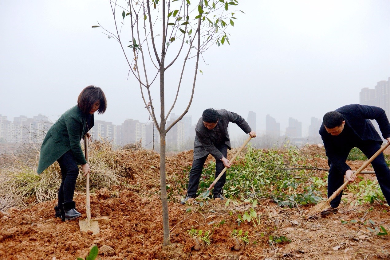 1490320318122175.jpg 1490320318122175.jpg