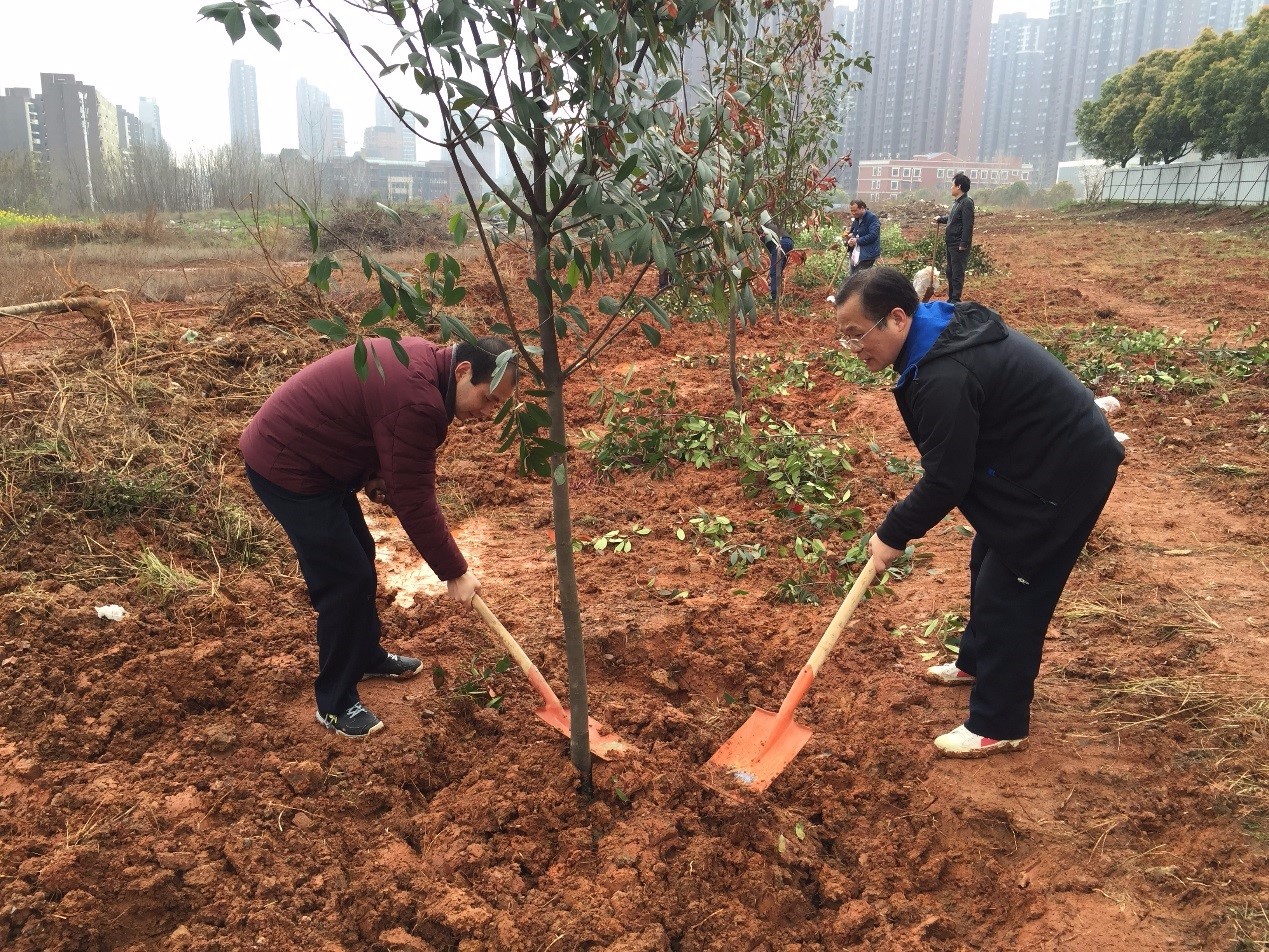 1490320319320328.jpg 1490320319320328.jpg