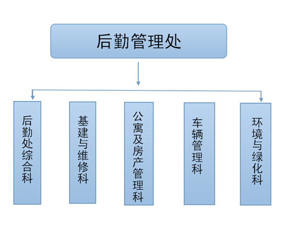 后勤管理处组织架构